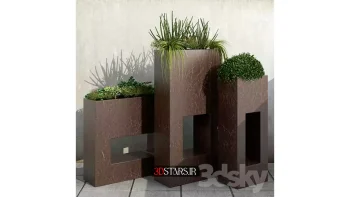 دانلود مدل سه بعدی گیاهان آپارتمانی 4
