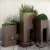 دانلود مدل سه بعدی گیاهان آپارتمانی 4
