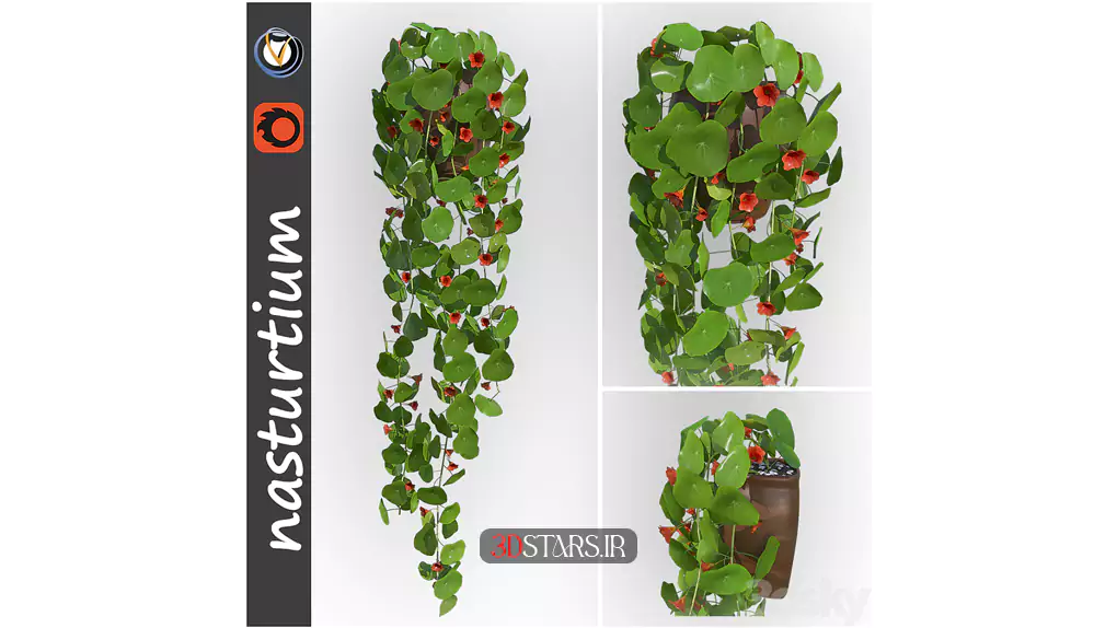 مدل سه بعدی گیاهان گلدانی 10