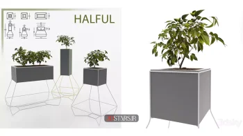 دانلود مدل سه بعدی گیاهان گلدانی 8