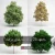 دانلود 25 مدل سه بعدی درخت