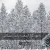 دانلود 52 آبجکت درخت زمستانی