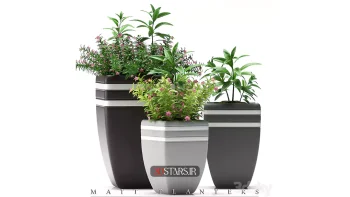 دانلود مدل سه بعدی گیاهان آپارتمانی 16