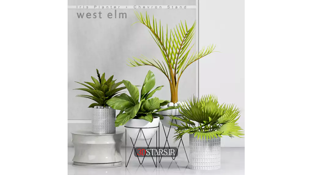 مدل سه بعدی گیاهان آپارتمانی 20