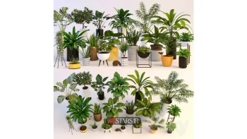 مدل سه بعدی گیاهان آپارتمانی 30