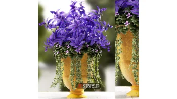 دانلود مدل سه بعدی گیاهان گلدانی 24
