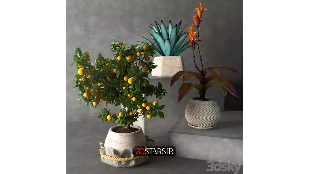 دانلود مدل سه بعدی گیاهان گلدانی 32