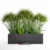 دانلود مدل سه بعدی گیاهان آپارتمانی 40