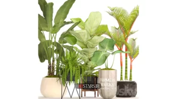 مدل سه بعدی گیاهان آپارتمانی 46