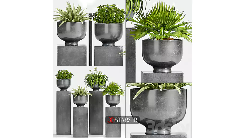 مدل سه بعدی گیاهان گلدانی 38