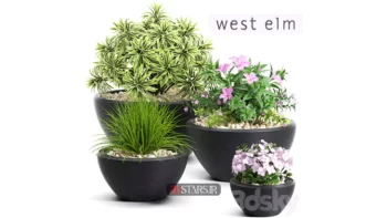 دانلود مدل سه بعدی گیاهان گلدانی 40