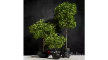 مدل سه بعدی گیاهان گلدانی 42