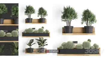 دانلود مدل سه بعدی گیاهان آپارتمانی 74