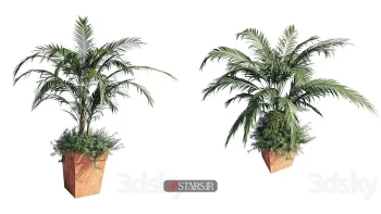 دانلود مدل سه بعدی گیاهان گلدانی 52