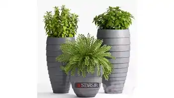 مدل سه بعدی گیاهان گلدانی 58