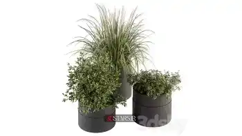 دانلود مدل سه بعدی گیاهان آپارتمانی 102