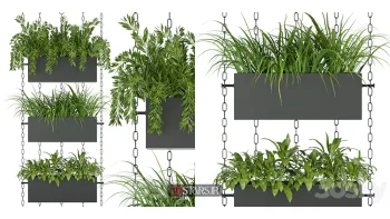 دانلود مدل سه بعدی گیاهان آپارتمانی 90