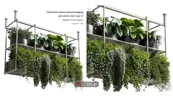 آبجکت گیاهان آپارتمانی 107